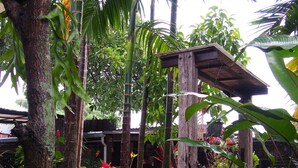 Estrutura de pérgola de madeira rodeada por vegetação tropical exuberante e um caminho de pedra.