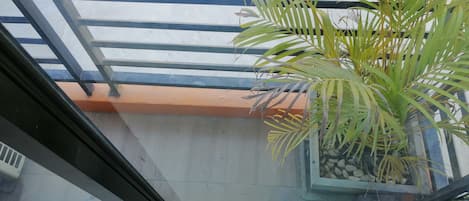 Visão pela janela, com grade de metal e planta em vaso.