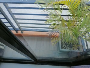 A view through a window with a metal railing and a potted plant.