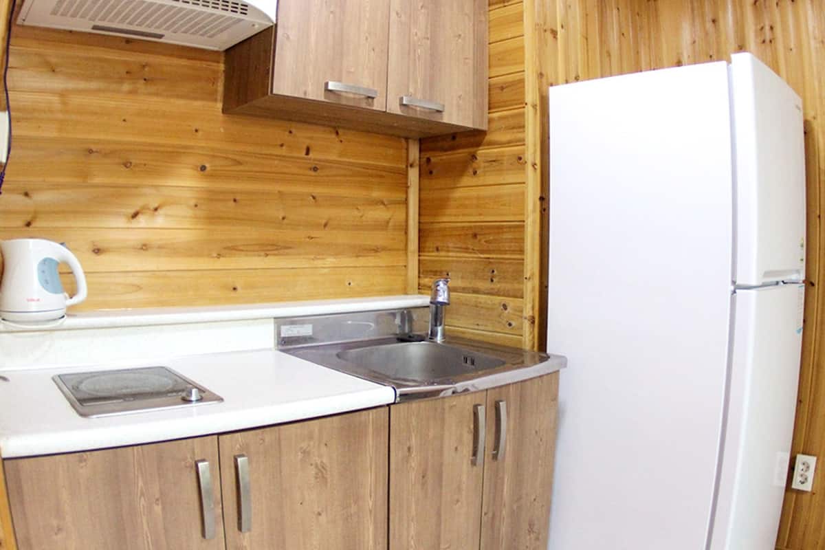 fridge, electric kettle