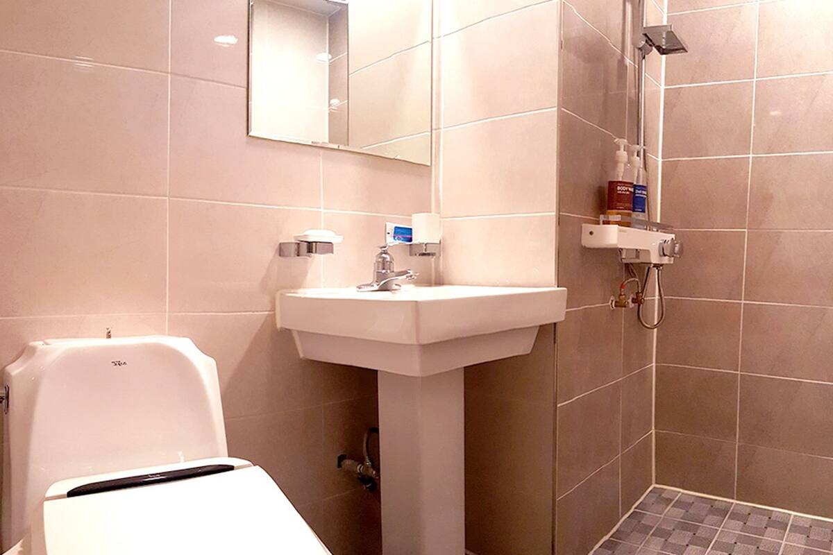 shower, free toiletries, hair dryer, bidet