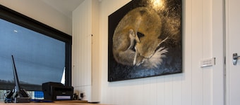 Fox on the Run - Motel Kilmore