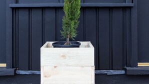 Een houten plantenbak met een kleine boom voor een donkerblauwe deur.