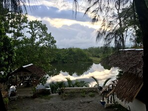 Lake view