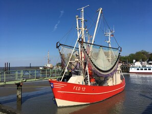 Billede uden beskrivelse, 2 af 17, knap