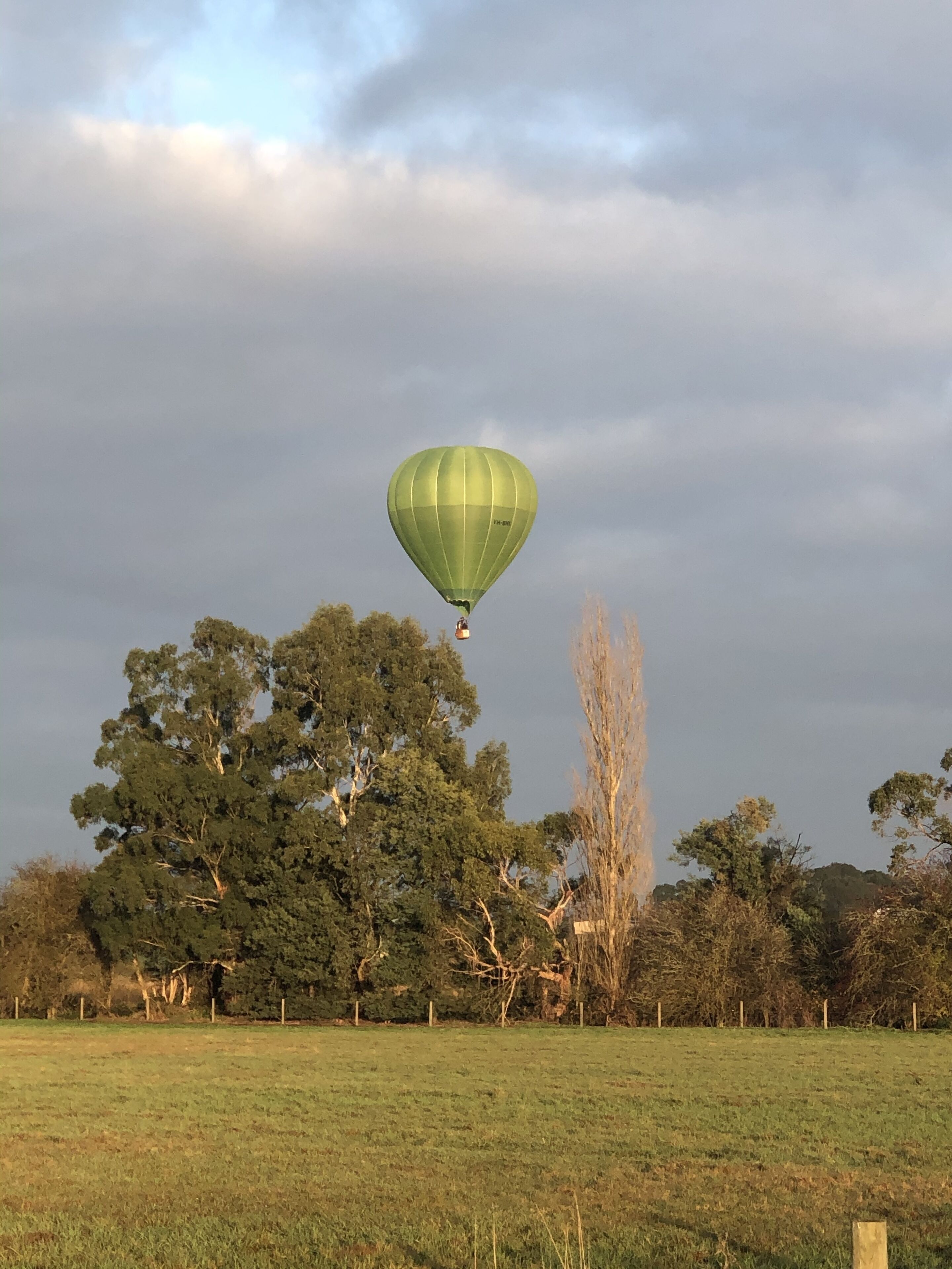 A green hot air balloon in a grassy field with trees in the background.