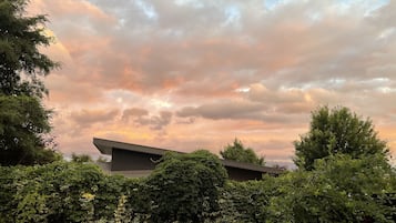 Un edificio moderno con tetto piatto, circondato da vegetazione lussureggiante e alberi.