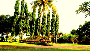 A park with a prominent palm tree, a well-maintained lawn, and a variety of other trees. - Dhyanapura City Hotel (Mengwi)