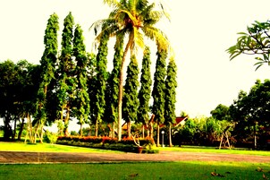 Un parque con una palmera destacada, un césped bien cuidado y diversas otras especies de árboles.