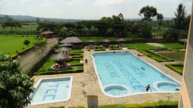 Piscina com vista para o campo, rodeada por guarda-sóis de palha e relvados bem cuidados.
