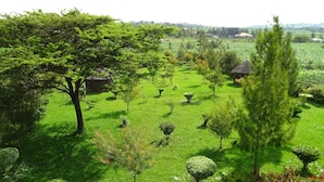 Um jardim exuberante com várias árvores e arbustos, uma construção de telhado de palha e vista para edifícios distantes.