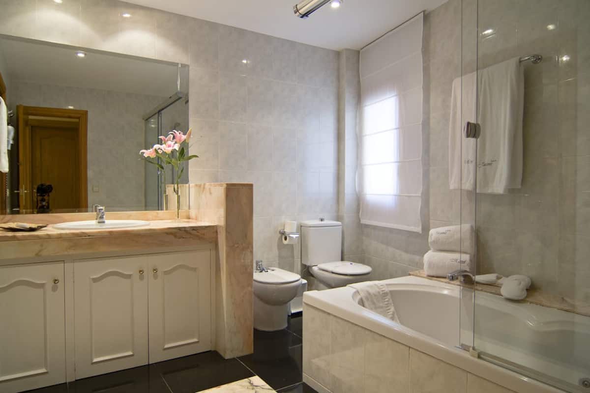 separate bathtub and shower, free toiletries, hair dryer, bidet