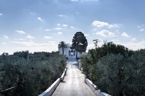 Ein Weg, der zu einem von dichtem Grün umgebenen Gebäude führt.