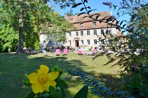 Un edificio grande e histórico con un patio central, rodeado de abundante vegetación y un árbol destacado.
