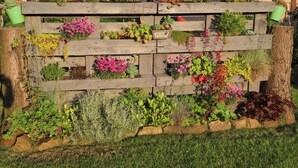 A wooden vertical garden with various plants and flowers.