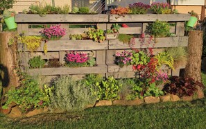 Property grounds - Gästehaus Spieker (Horn-Bad Meinberg)