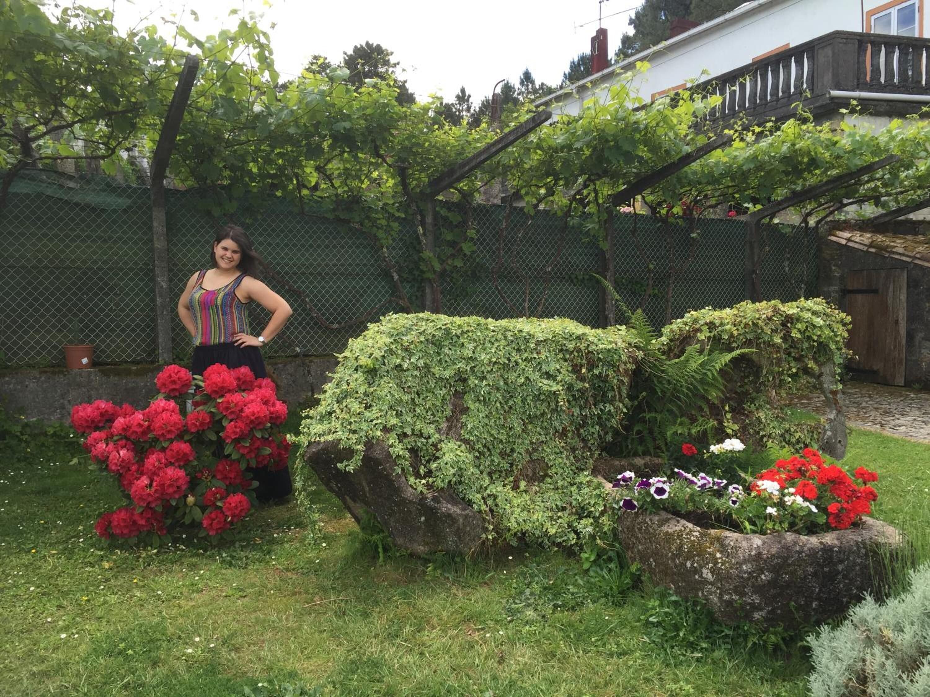 Photo - Casa Do Tarela