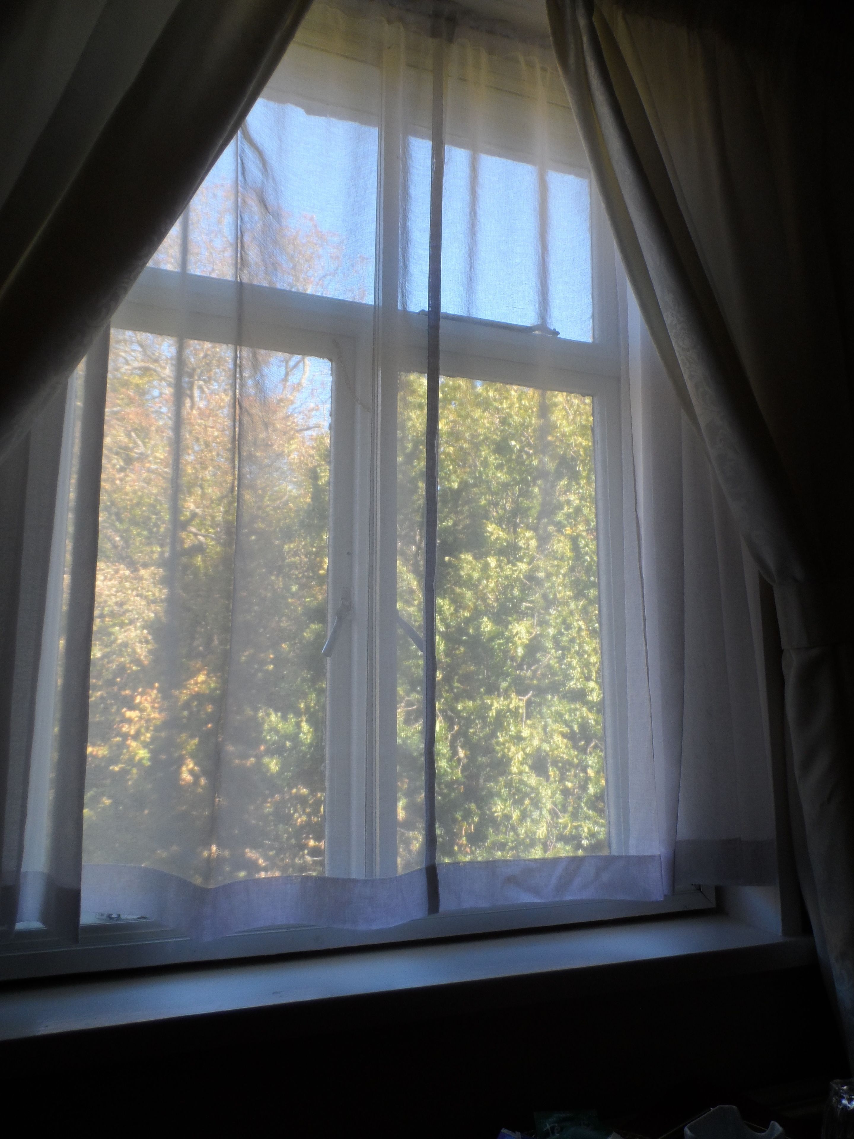Una ventana con cortinas traslúcidas, vista a árboles y un alféizar.