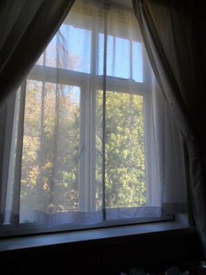 Large Double Room | Park view - St Martin's Guest House (Dover)