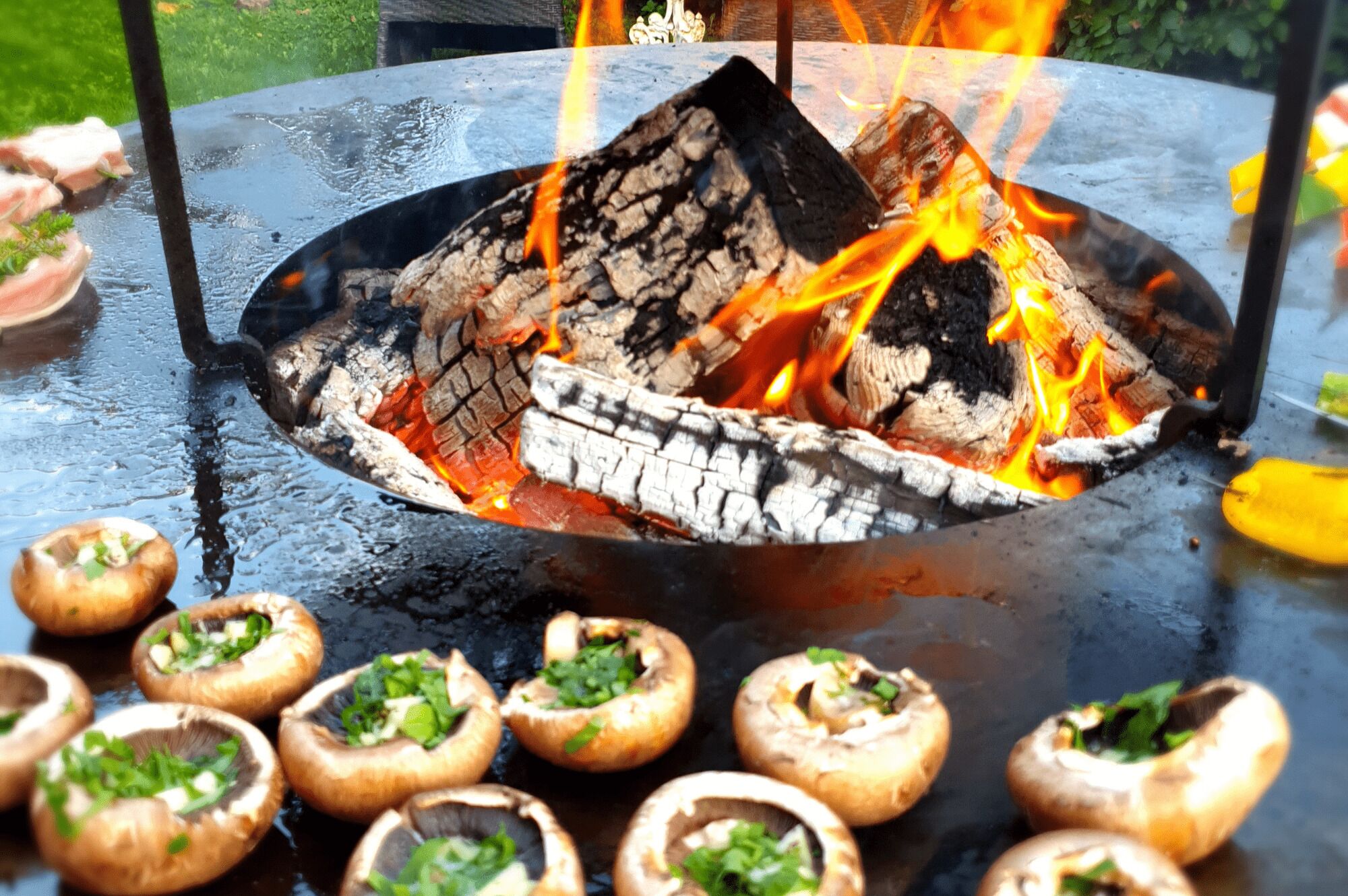 Un foyer où brûle du bois, et autour duquel on fait cuire des champignons.