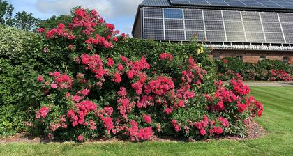 Apartment Garten near Airport