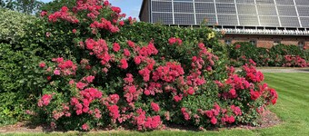 Apartment Garten near Airport