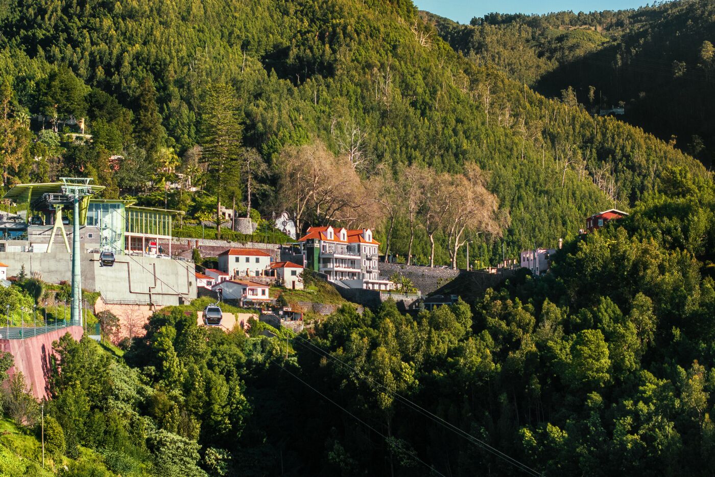 Foto - OurMadeira - Babosas Village, gardénias and greenspaces