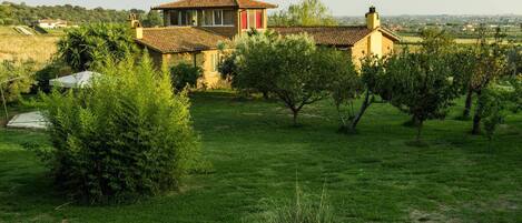 A rustic house with a tiled roof, surrounded by a lush green lawn and trees.