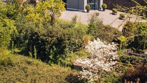 Un edificio moderno con fachadas de ladrillo y vidrio, un patio central con mobiliario y diversa vegetación.
