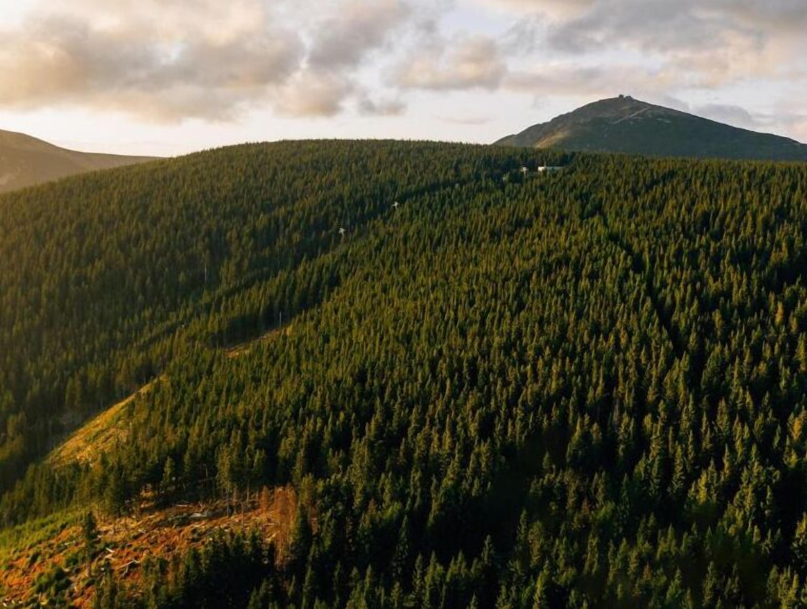 A mountainous landscape with dense forest coverage and a distant hill or mountain.