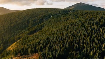 A mountainous landscape with dense forest coverage and a distant hill or mountain.