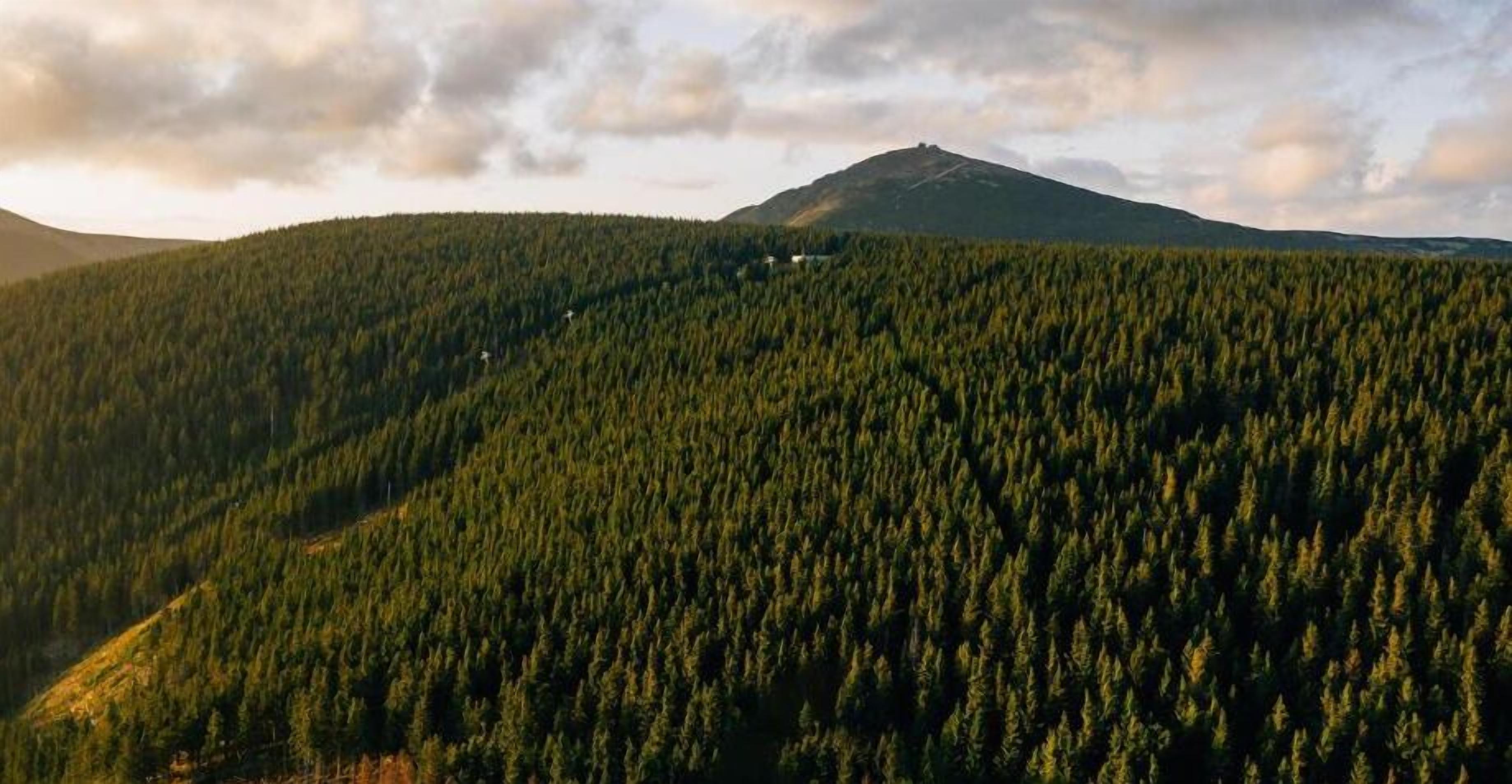 Un paisaje montañoso con densa cubierta forestal y una colina destacada al fondo.