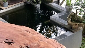 A garden with a pond, wooden steps, and various potted plants. - The Hidden Bali Inn (Ubud)