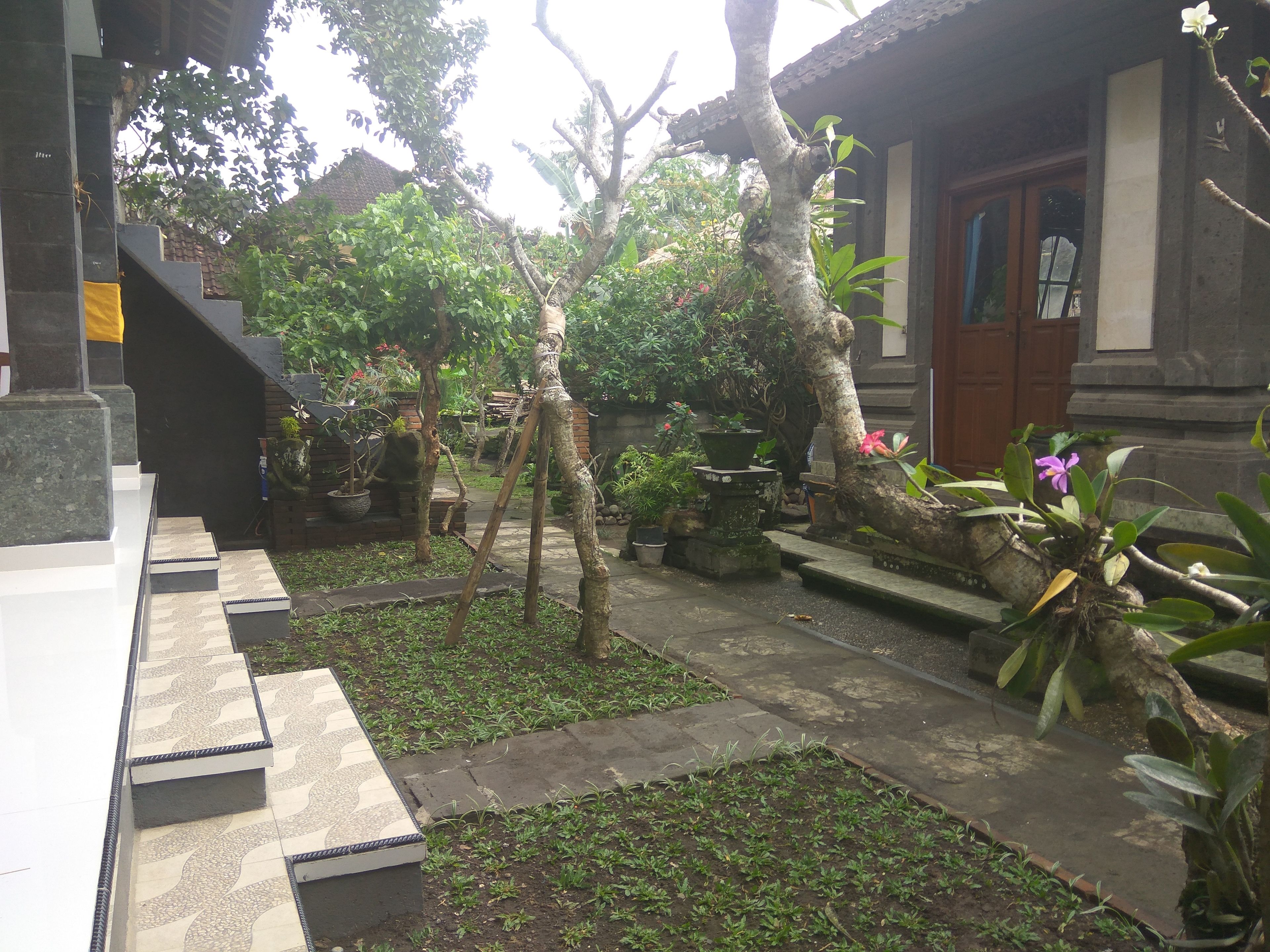 A courtyard with a stone staircase, potted plants, and a traditional building with a wooden door.