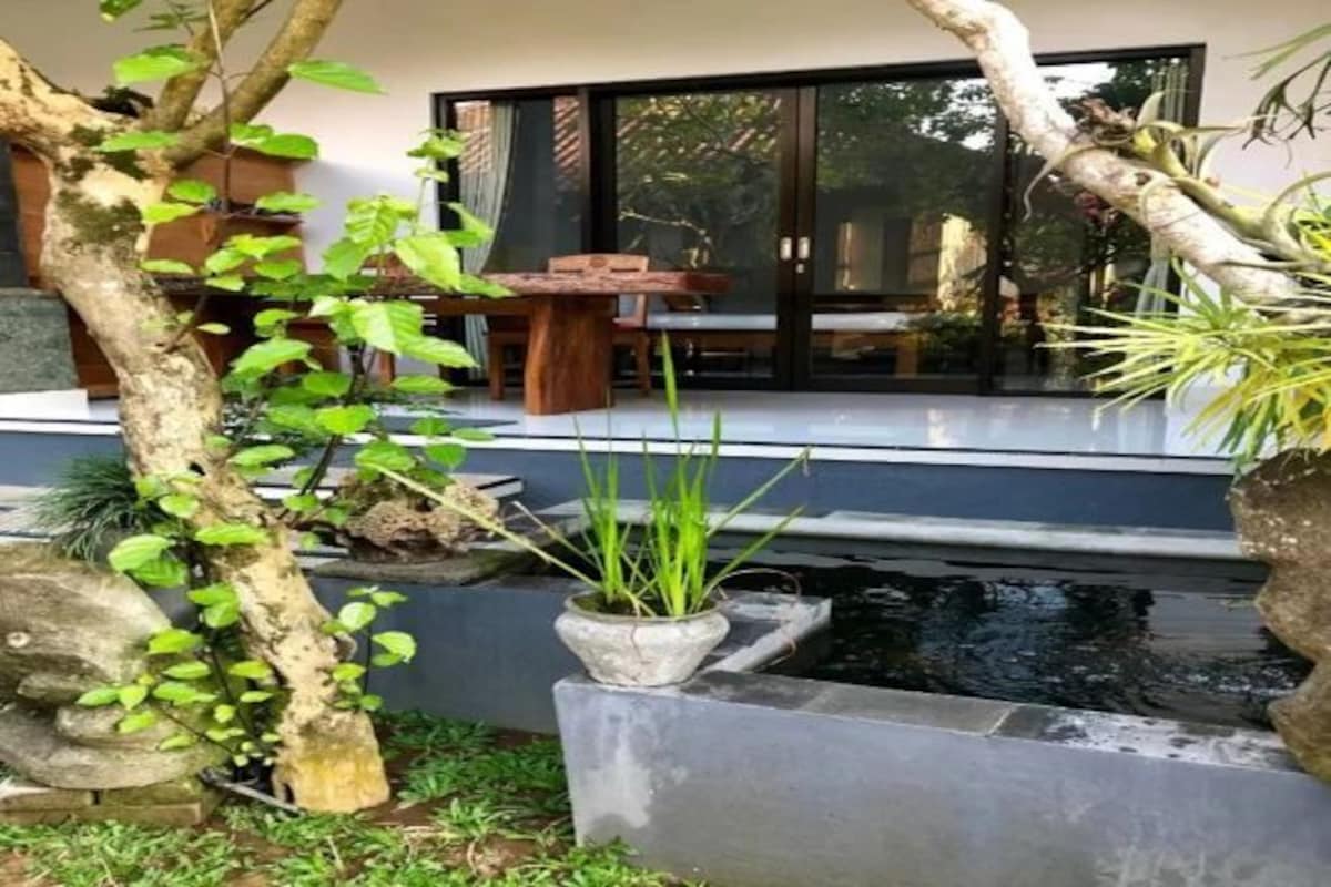 A modern outdoor area with a stone bench, a small water feature, and a potted plant.