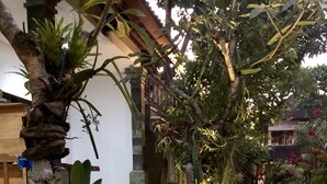 A courtyard with a stone pathway, lush greenery, and a wooden bench. - The Hidden Bali Inn (Ubud)
