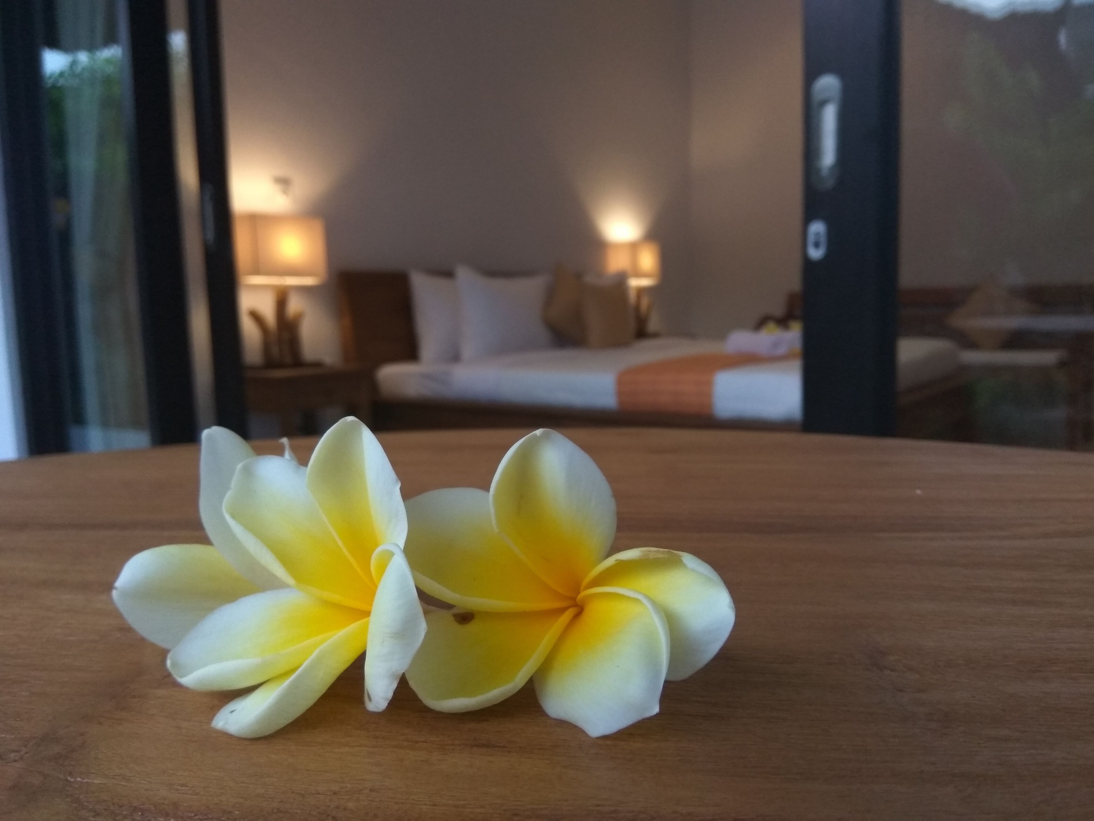 Foto - The Hidden Bali Inn