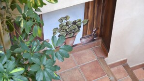 A potted plant on a tiled floor, a wooden door, and a white wall. - Hostal Toribio (Galaroza)