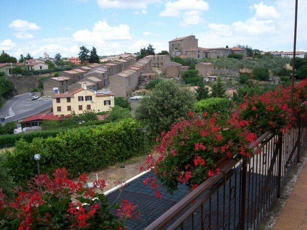 View from property - Agriturismo Poggio Torreano (Farnese)
