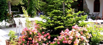 Hotel Asikoglu