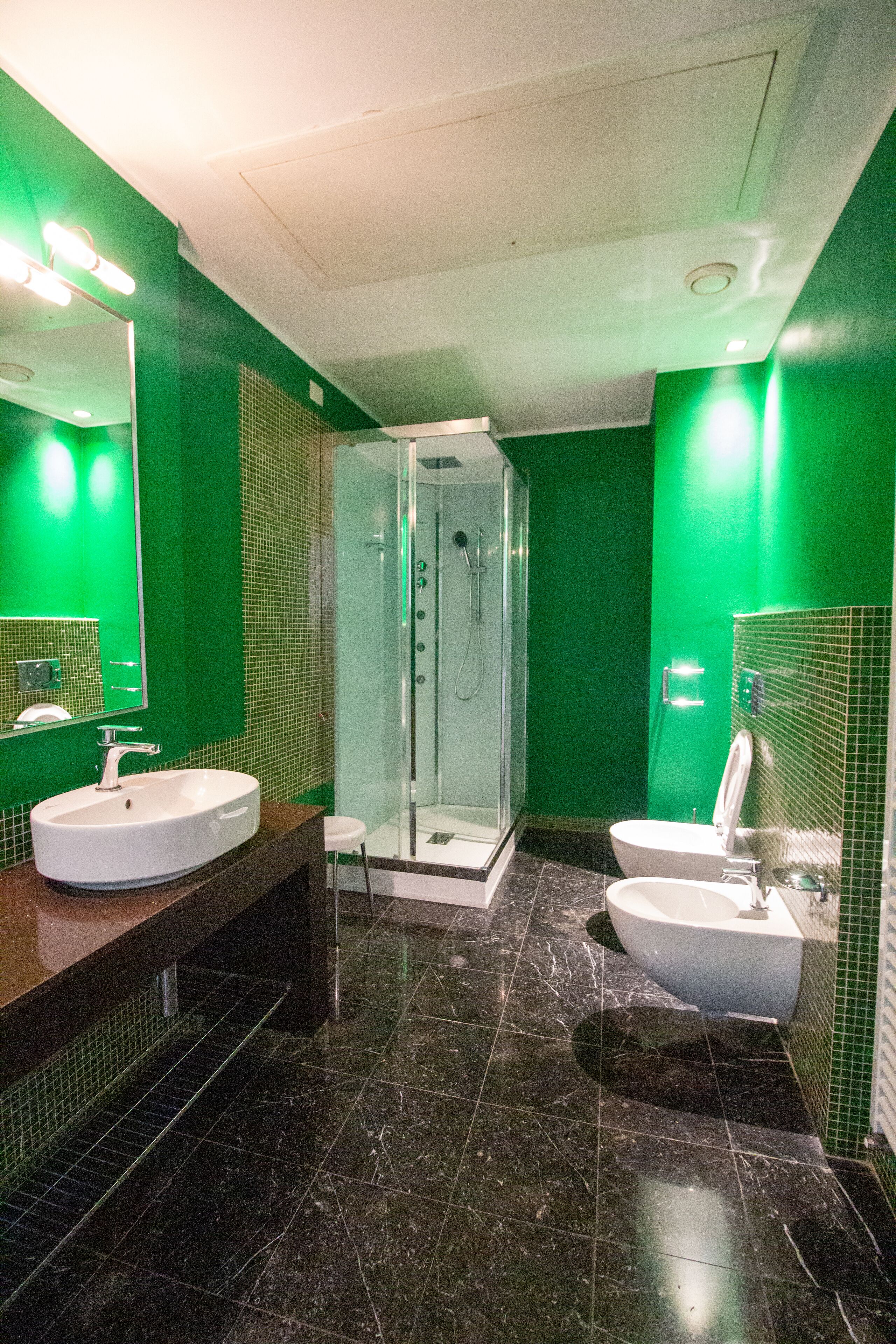 shower, free toiletries, hair dryer, bidet