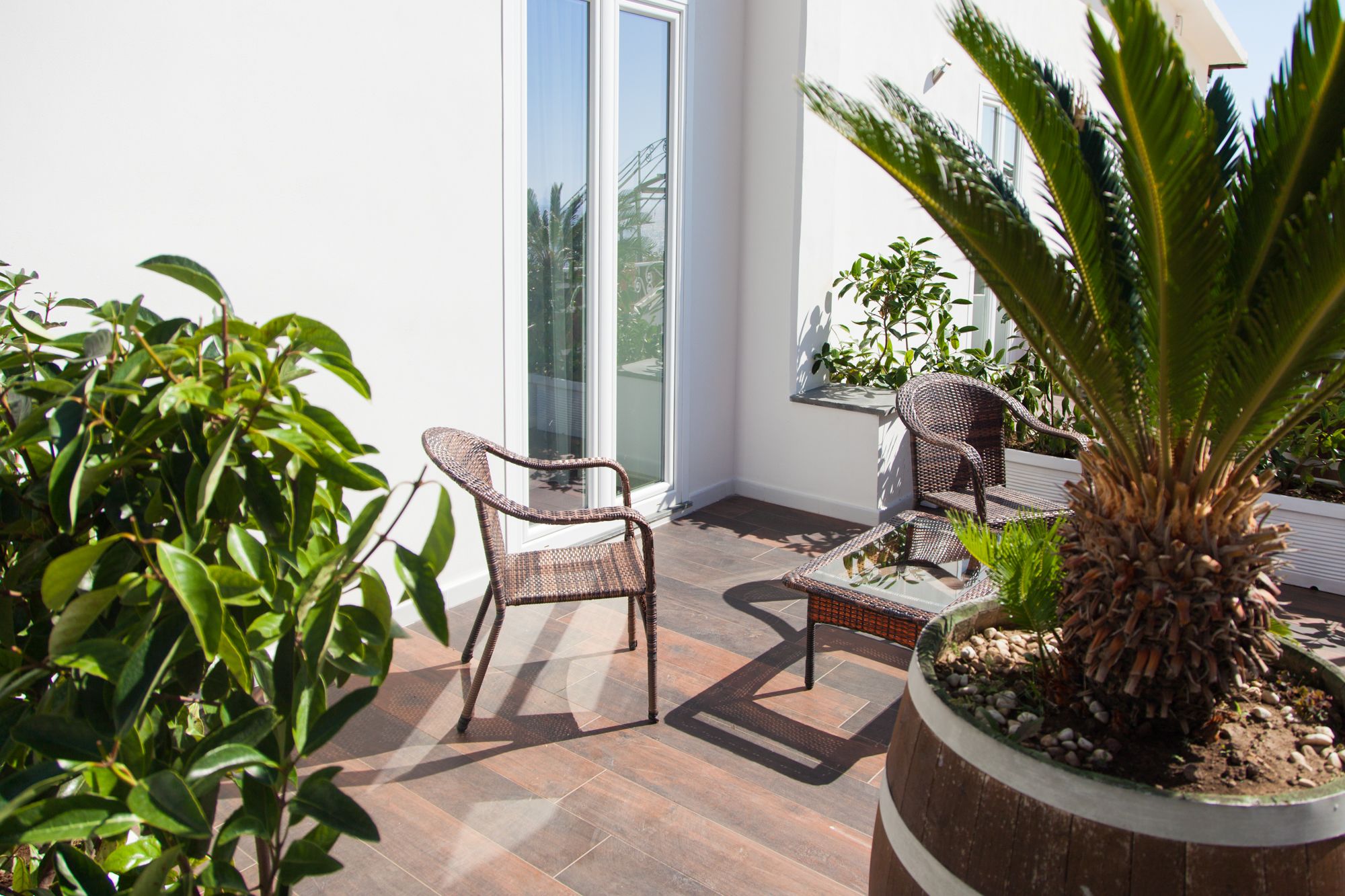 Terraza o patio