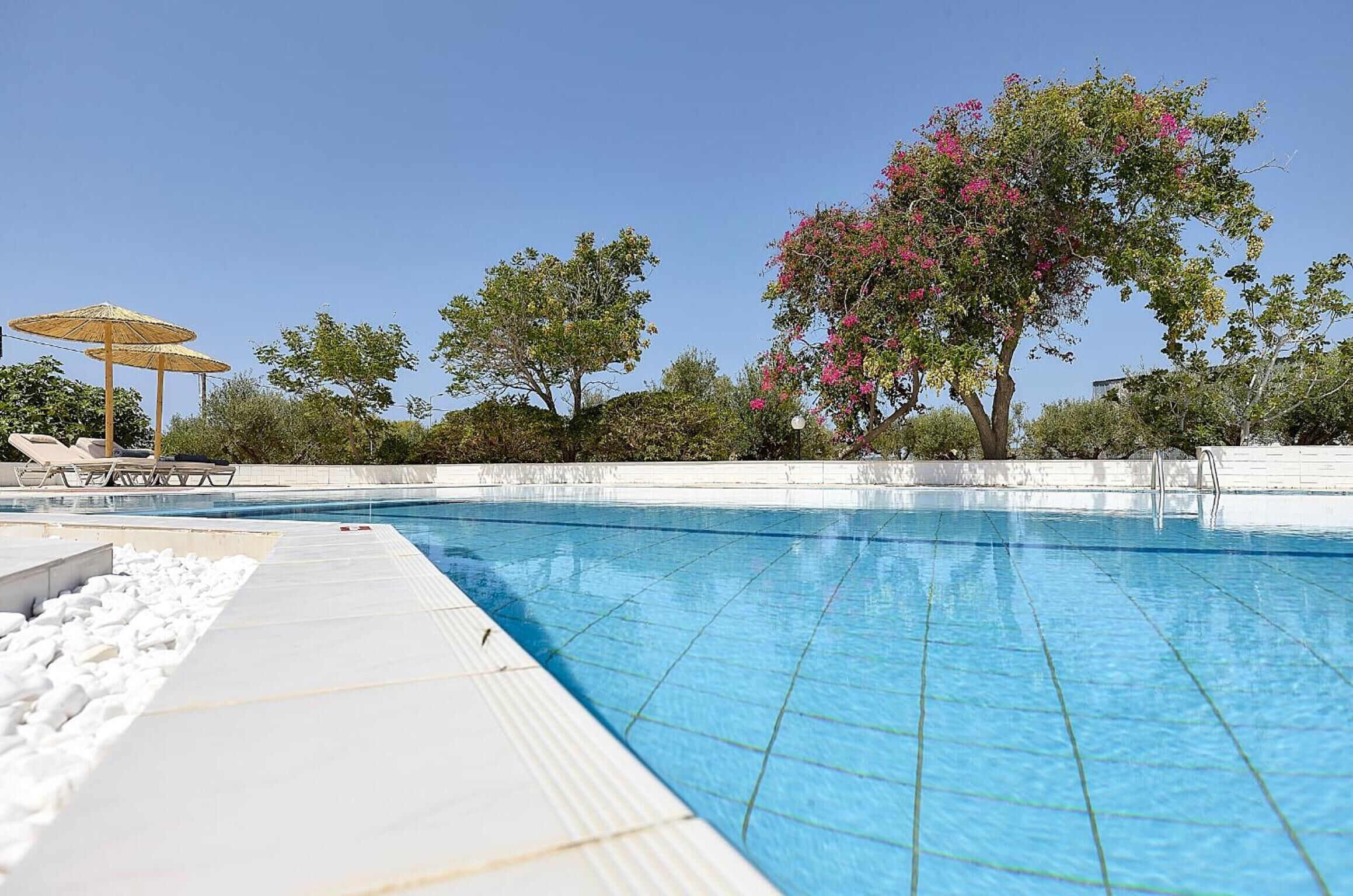 seasonal outdoor pool, pool umbrellas, pool loungers