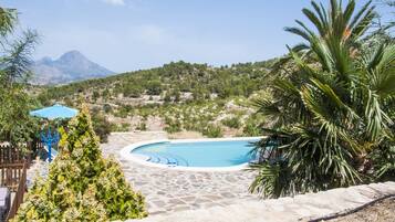 Outdoor pool, sun loungers