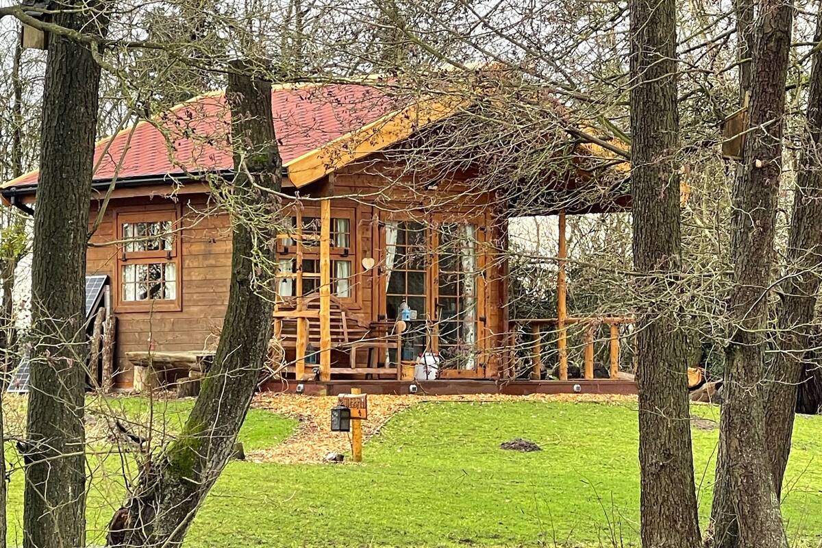 小屋 (Bluebell Log Cabin)