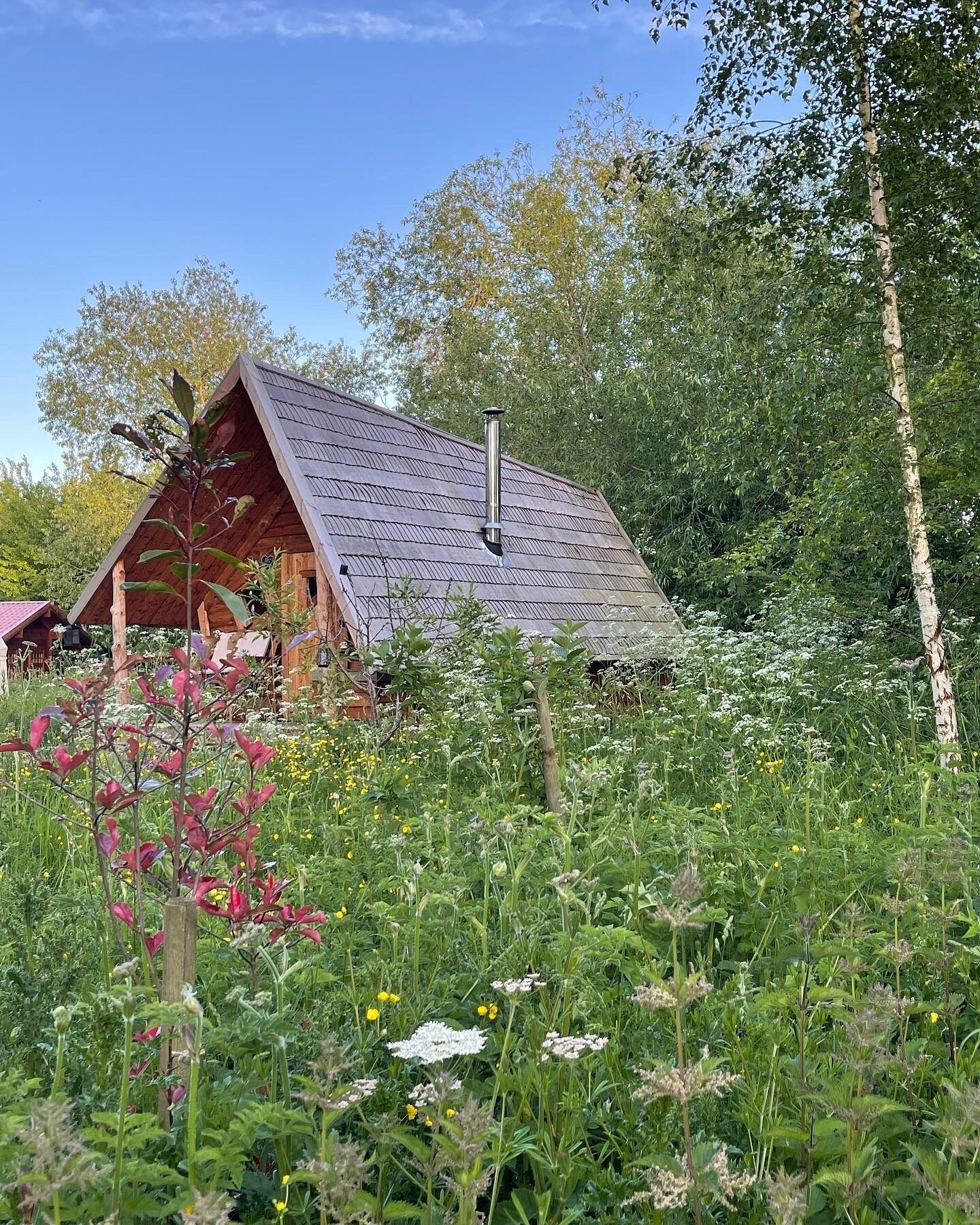 Cabin (Rose Hollow log cabin)