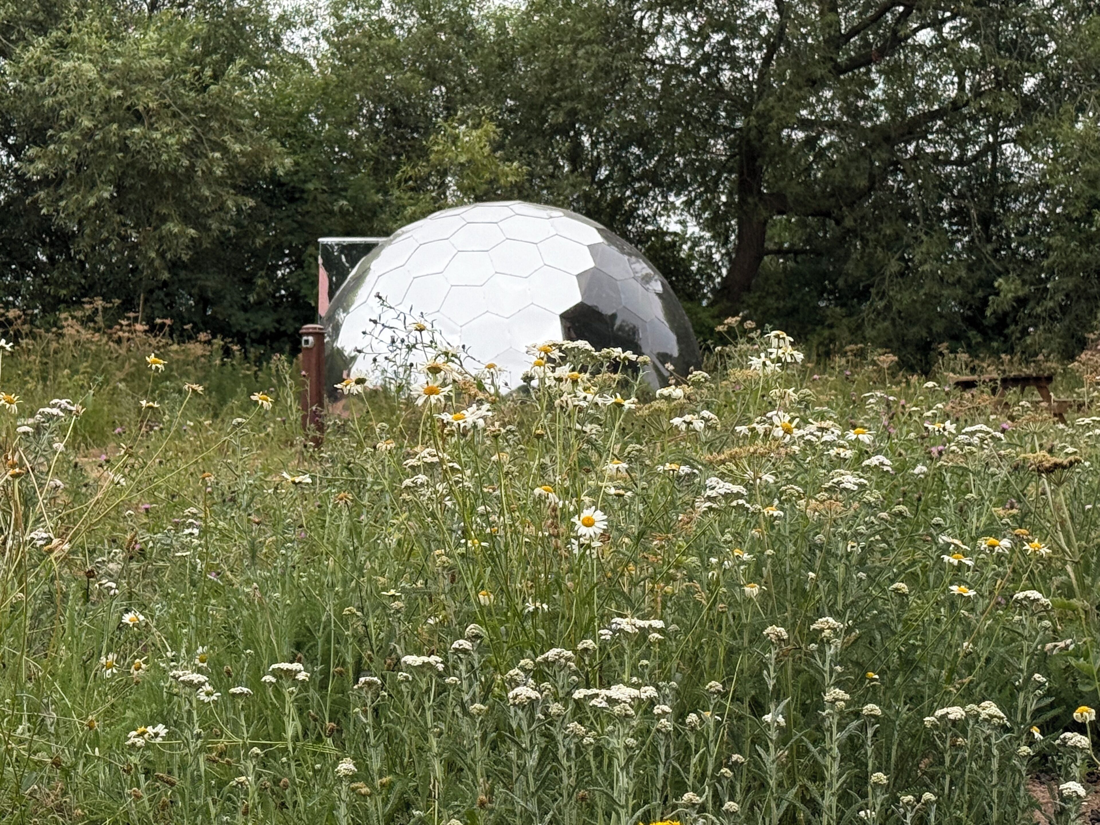 A spherical structure surrounded by a field of daisies and other wildflowers.