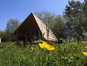 Cabin (Rose Hollow log cabin)