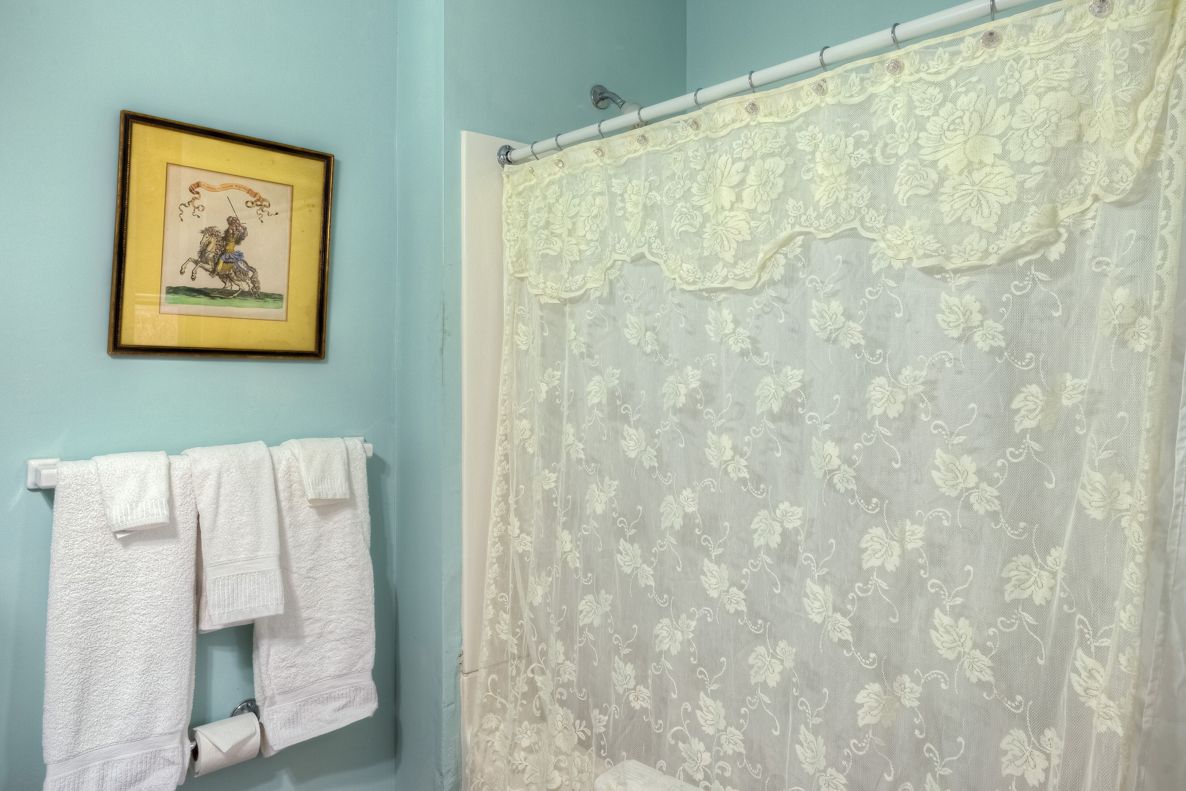 Un baño con cortina de ducha, un cuadro en la pared y dos toallas blancas colgadas en un perchero.