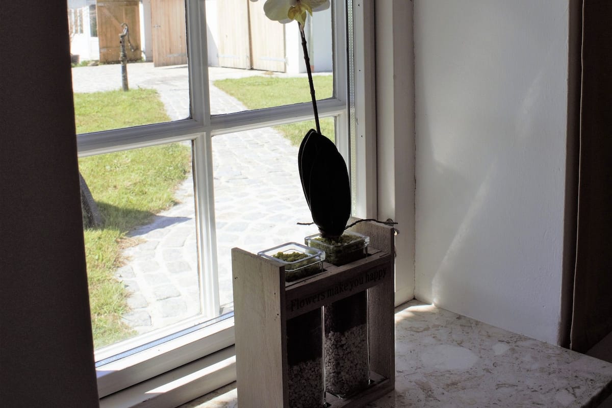 Una ventana con marco blanco y un pequeño atril de madera sosteniendo una orquídea.